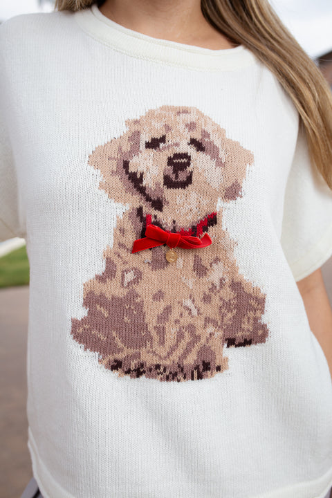 Pup Couture Knit